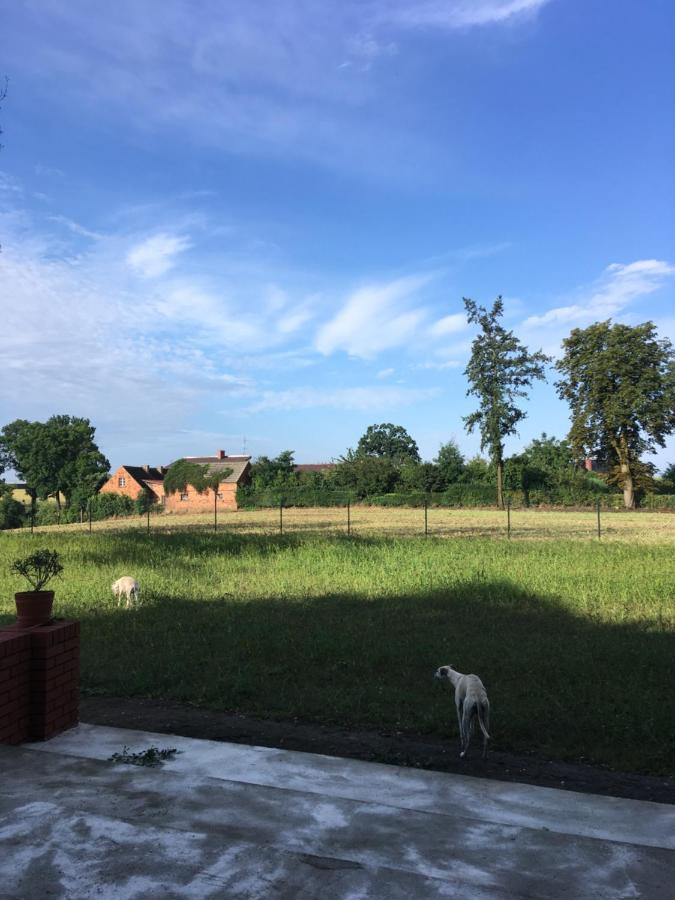 Palac Osowo Gostynskie Bagian luar foto