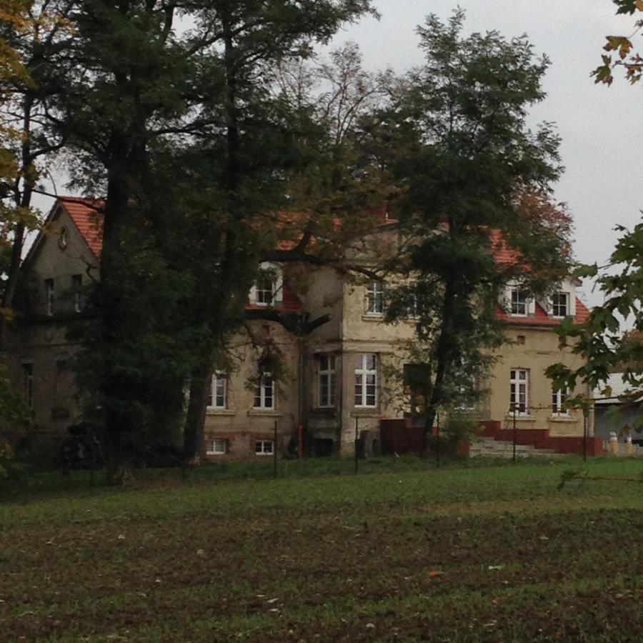 Palac Osowo Gostynskie Bagian luar foto