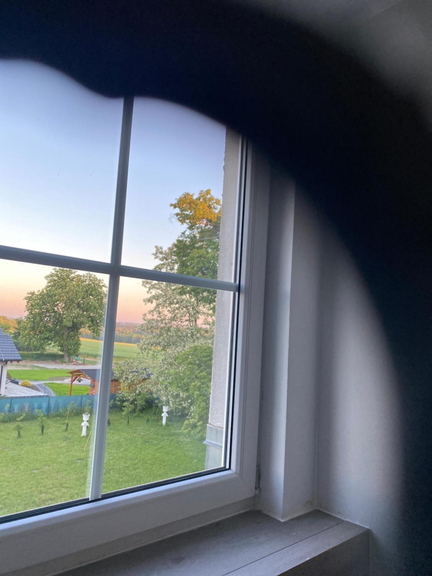 Palac Osowo Gostynskie Bagian luar foto