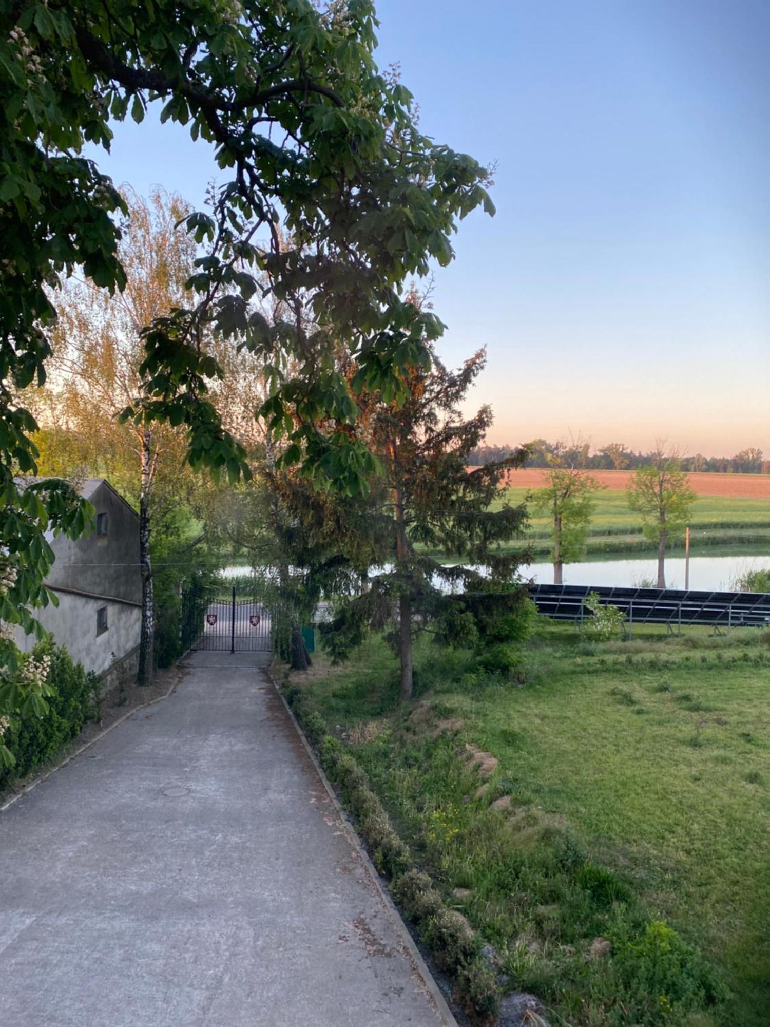 Palac Osowo Gostynskie Bagian luar foto