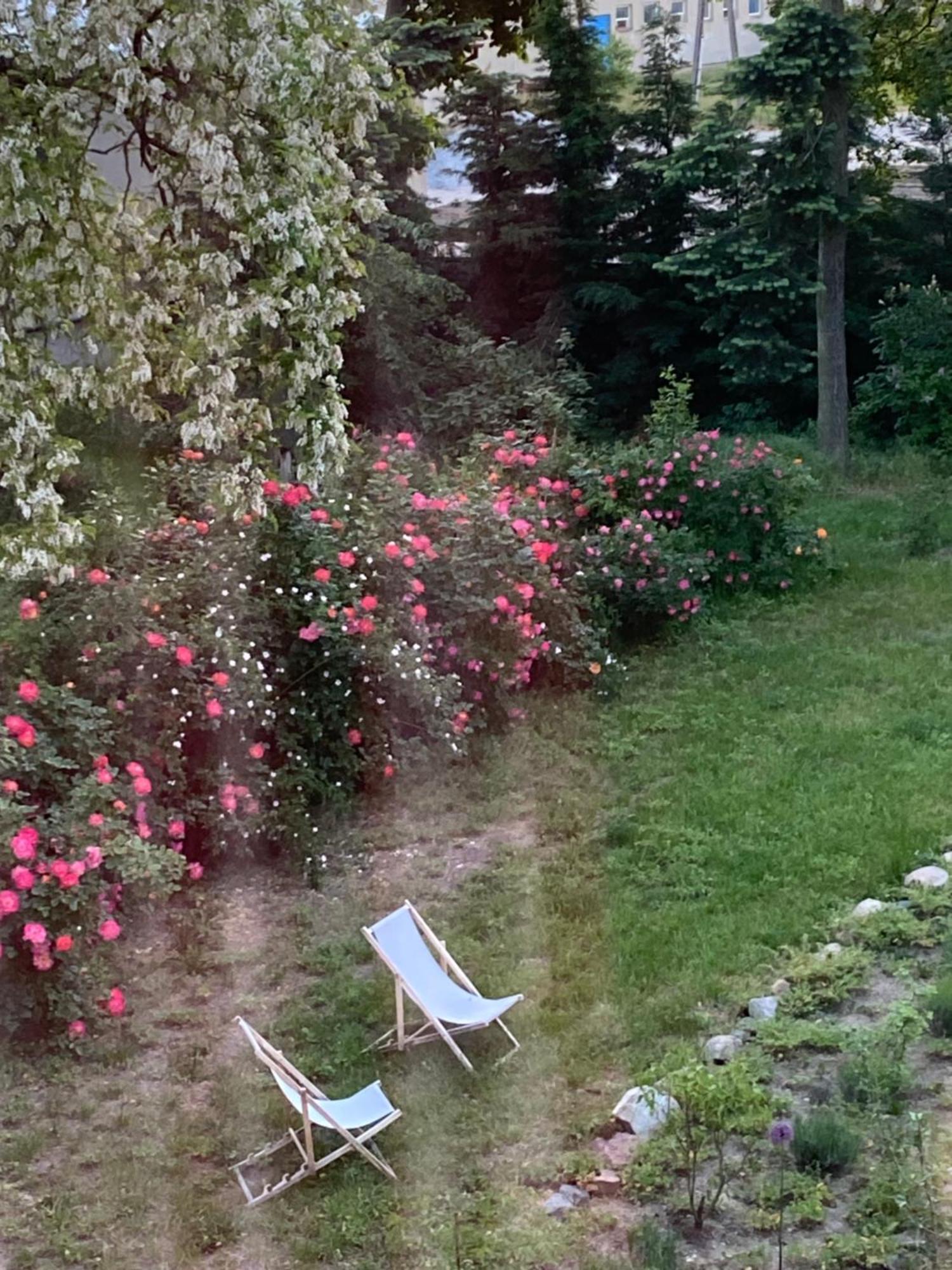 Palac Osowo Gostynskie Bagian luar foto